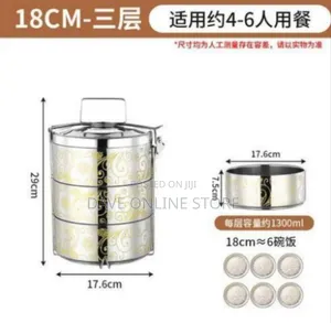 Decorative Multi-Tier Stainless Steel Tiffin Lunch Carrier / Food
