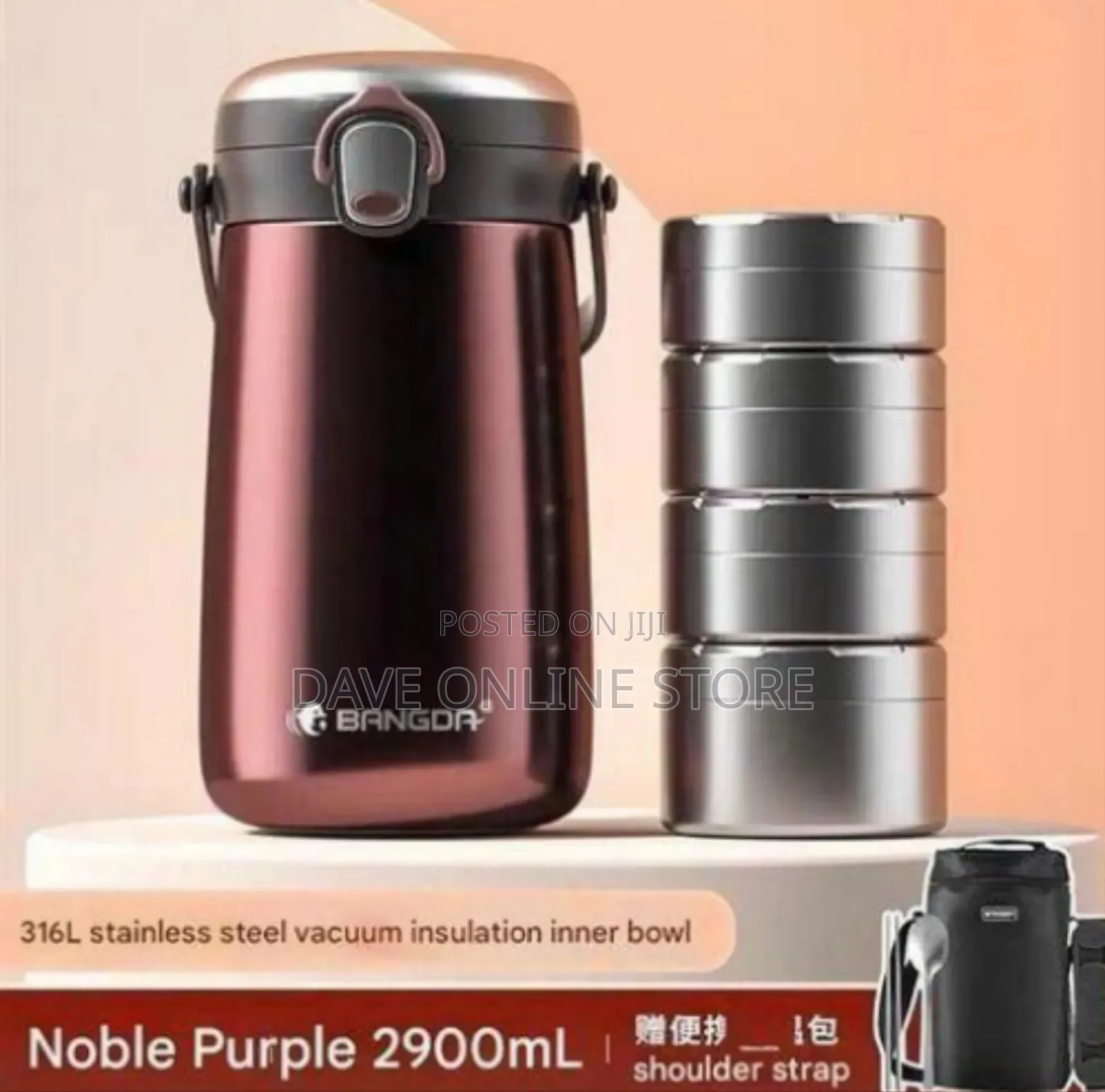 Elegant Vacuum Insulated Food Flask / Thermal Lunch Container Set
