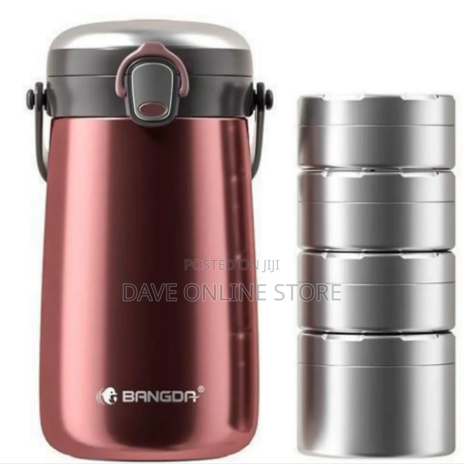 Elegant Vacuum Insulated Food Flask / Thermal Lunch Container Set