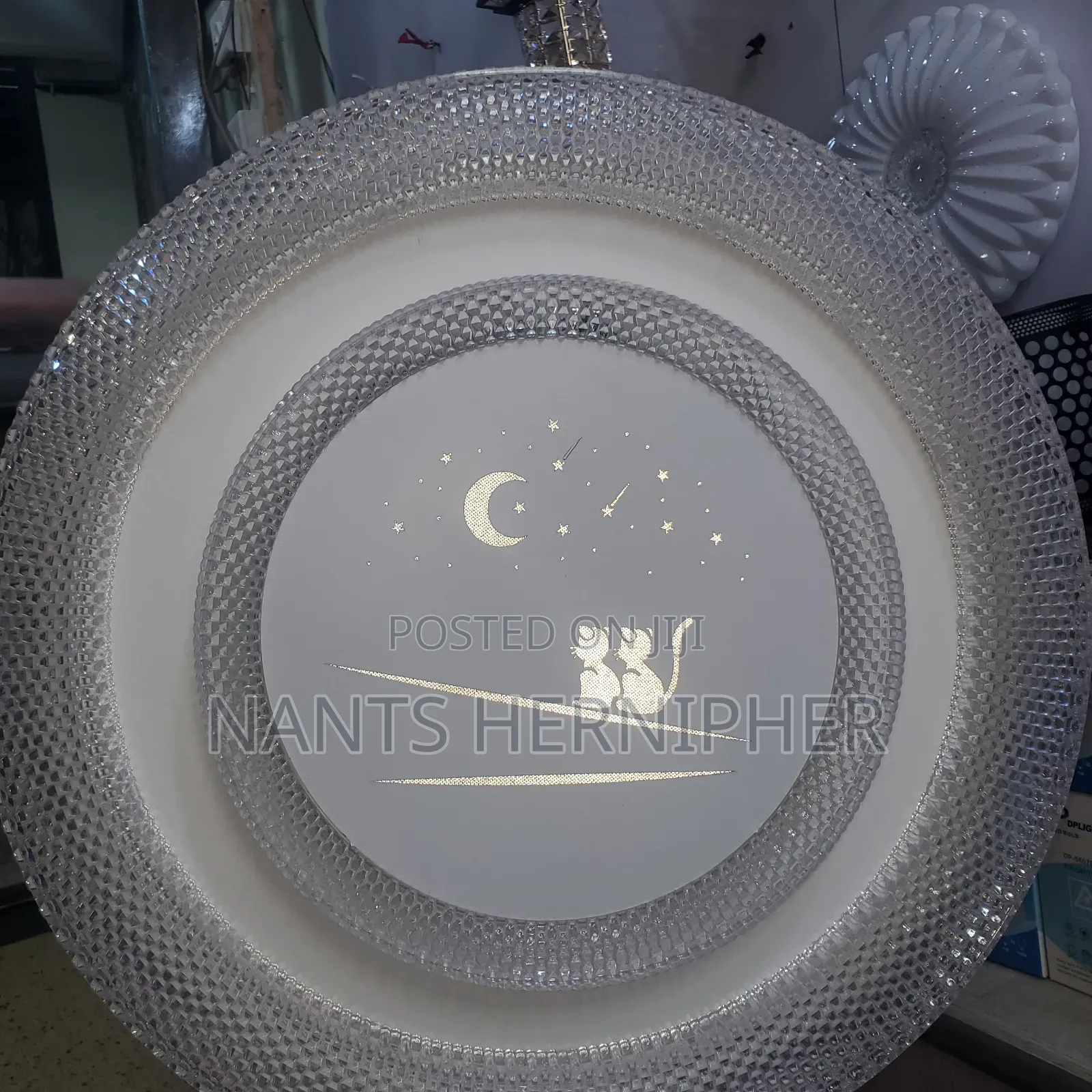 Ceiling Light