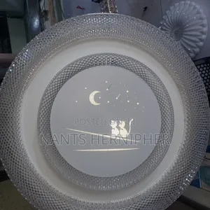 Ceiling Light