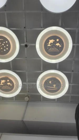 Ceiling Light