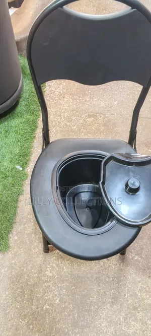 Three in One Multifunctional Potty