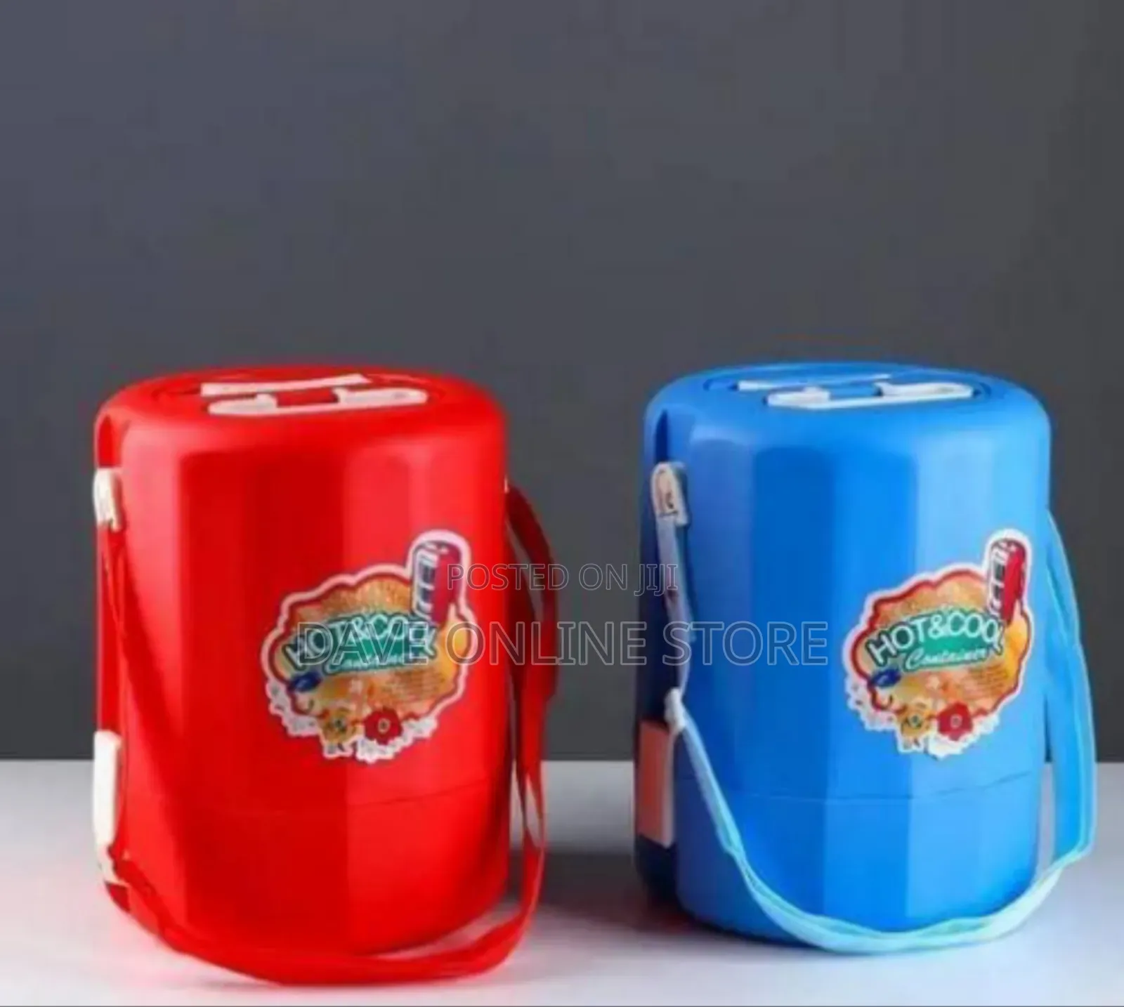Insulated "Hot Cool" Food Storage Container
