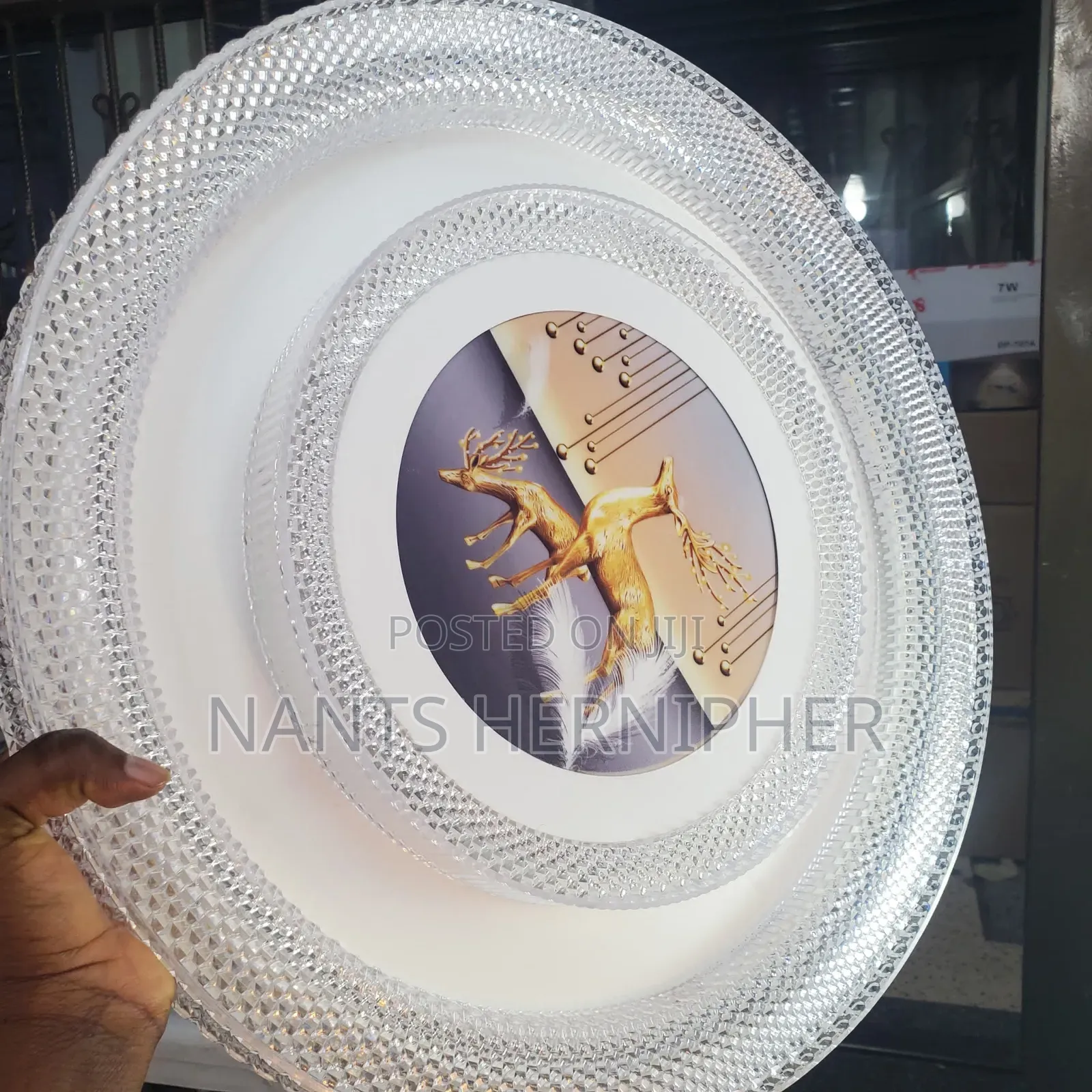 Ceiling Light
