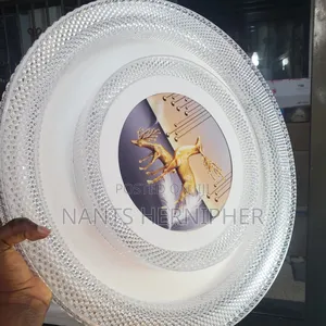 Ceiling Light