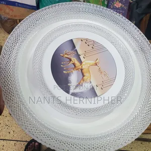 Ceiling Light