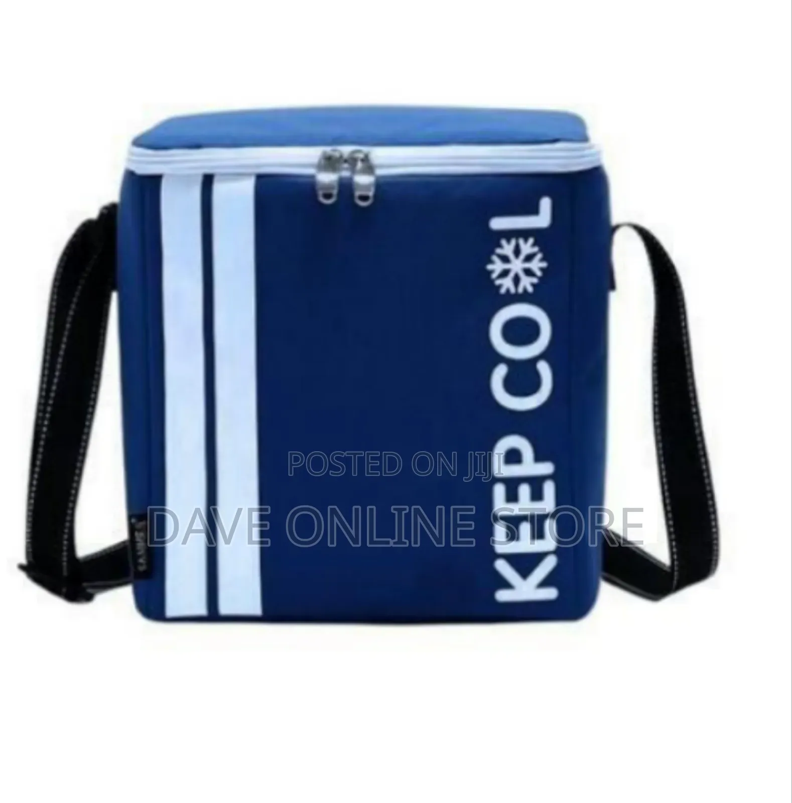 Insulated Portable Cooler Bag With Shoulder Strap
