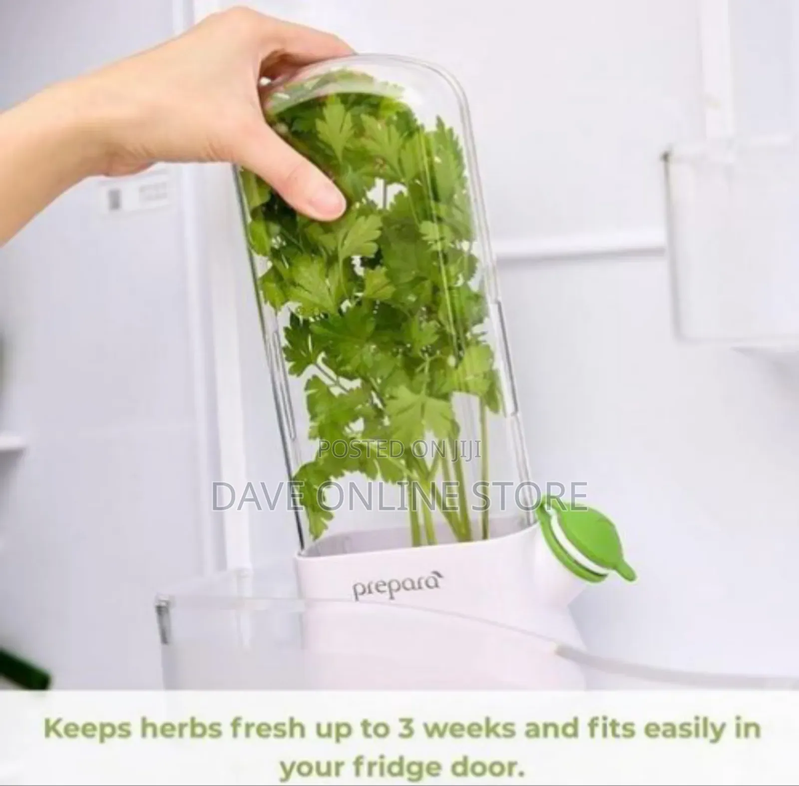 Vertical Fresh Herb and Asparagus Keeper for Refrigerator Storage