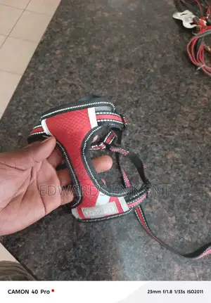 Puppy Harness