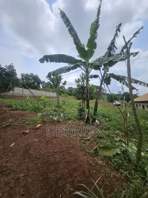 Budo Titled Milo Land on Sale