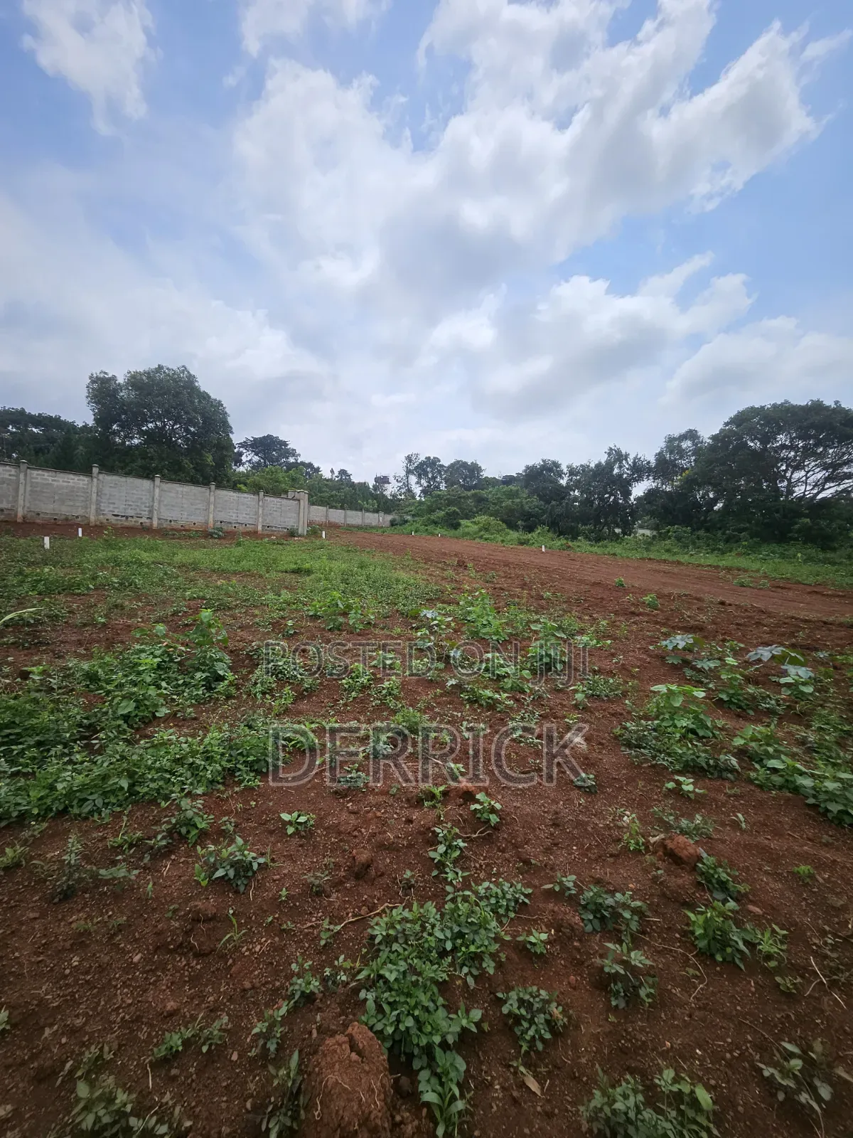 Budo Titled Milo Land on Sale