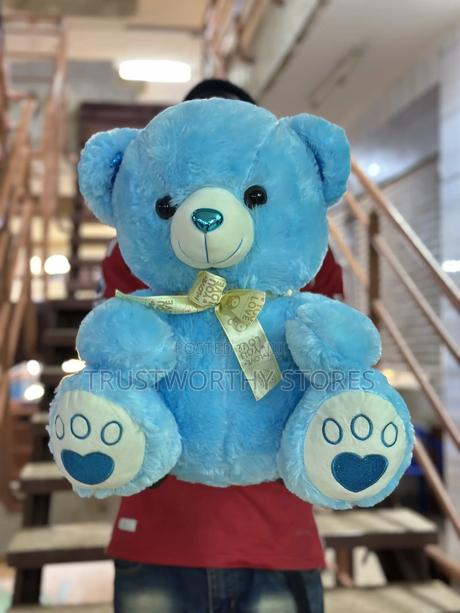 Blue Bear Medium Size - Unisex