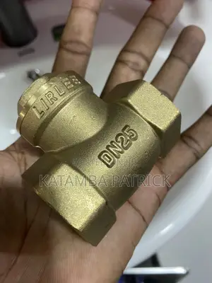 Non Return Valves