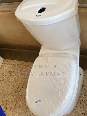 Sitting Ceramic Toilets