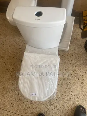 Sitting Ceramic Toilets
