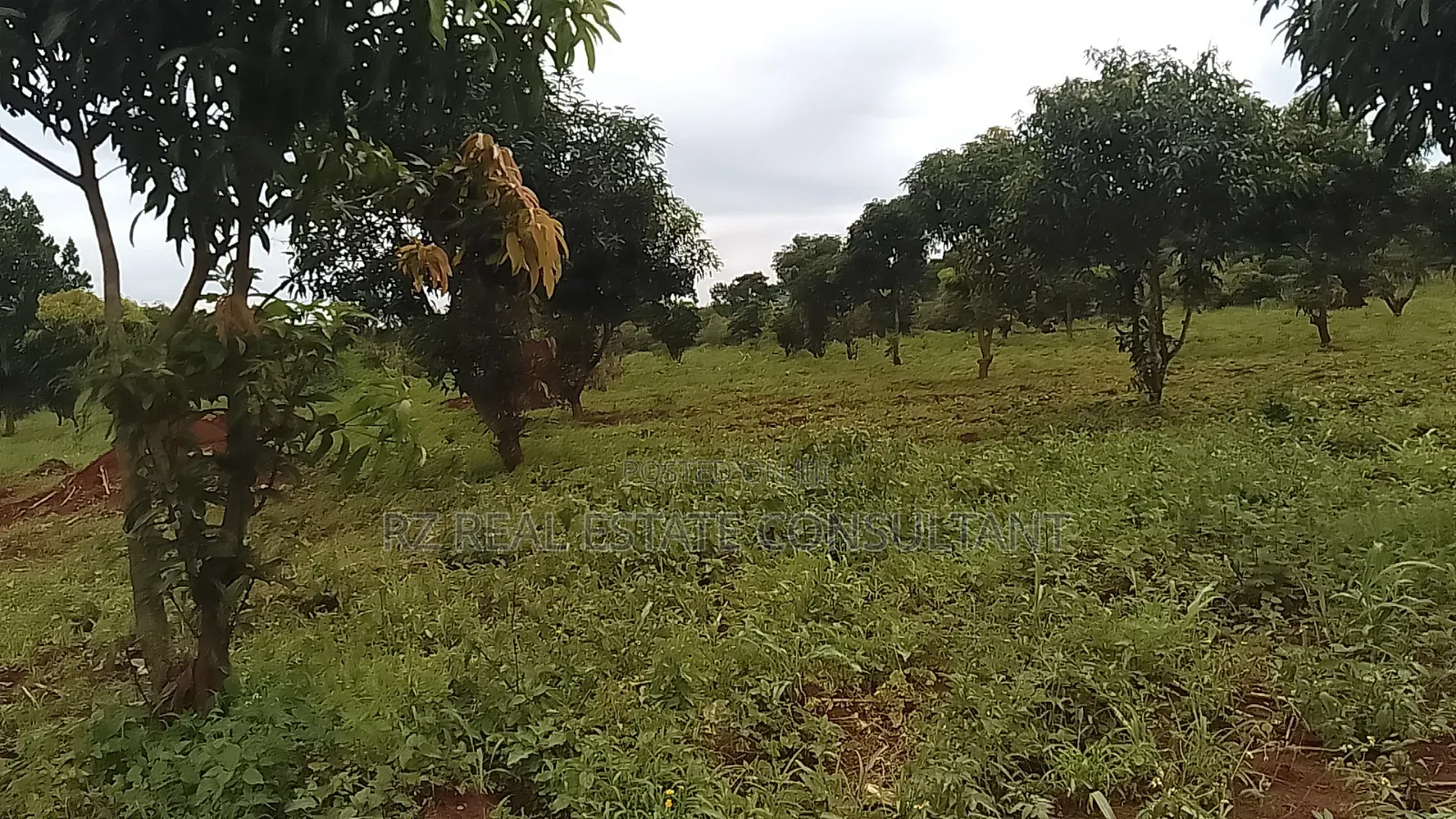 Very Clear Piece for Mixed Use . Located in Busiika - Namuganja