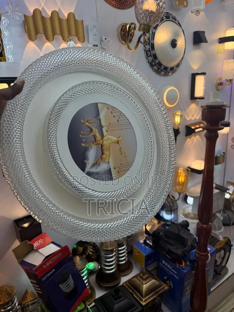 Ceiling Lights