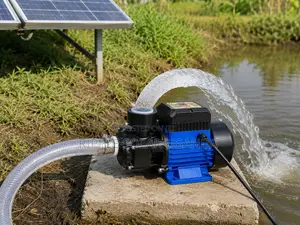 250w Solar Surface Water Pump With Accessories 24v Irrigation Pump