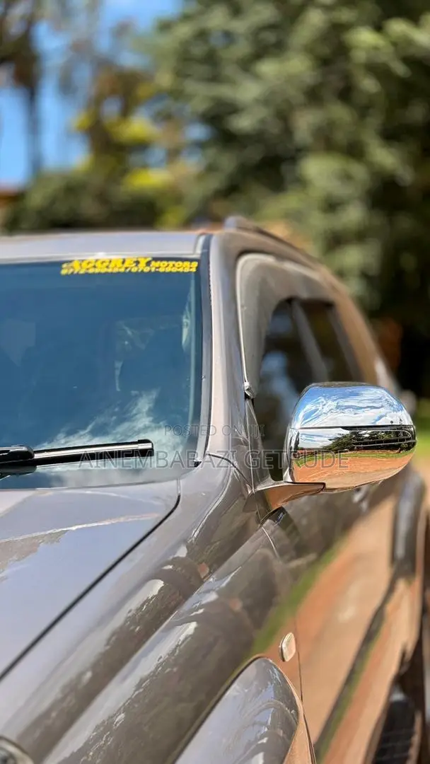 Toyota Land Cruiser 2011 Silver