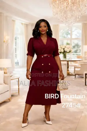Ladies Office Dress