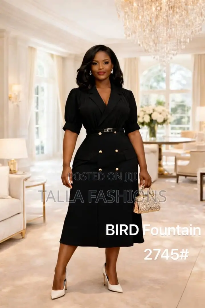 Ladies Office Dress