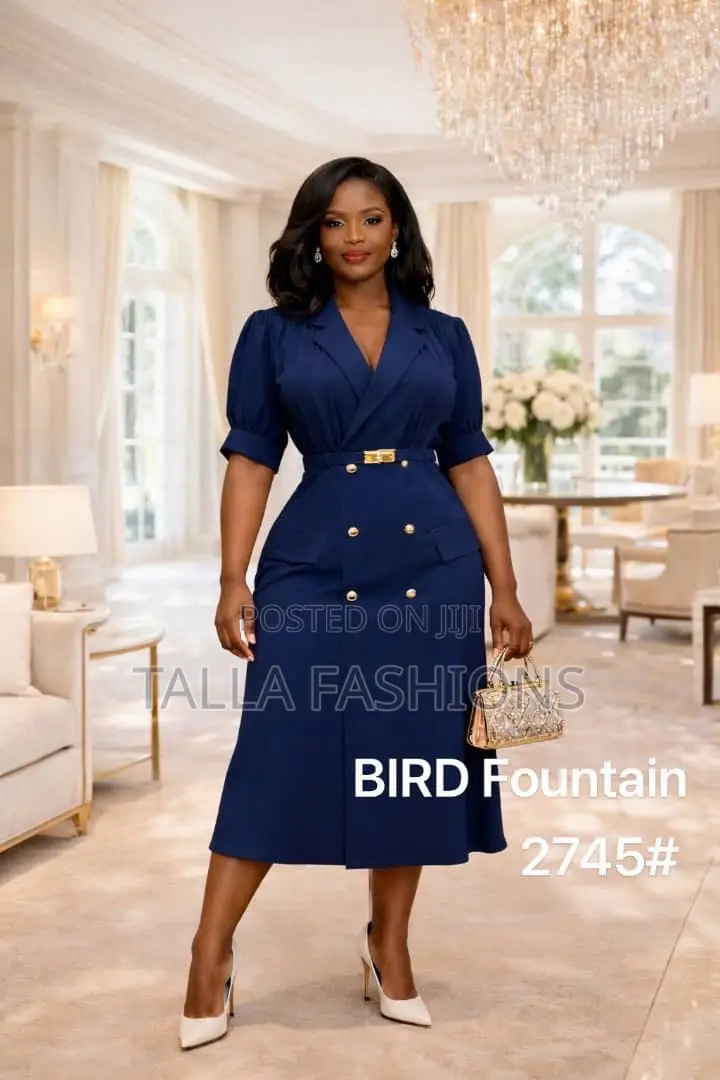 Ladies Office Dress