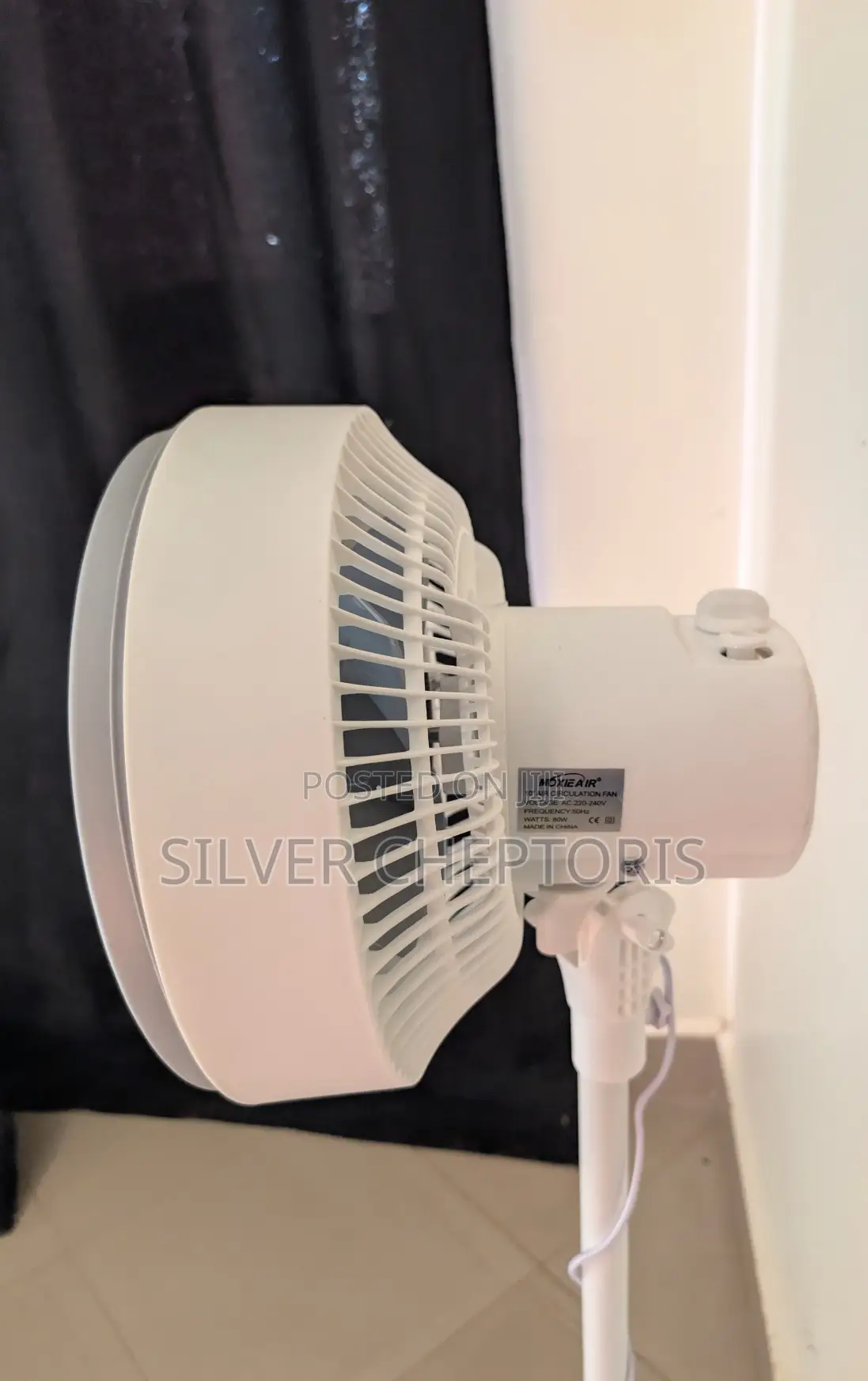 White Good Looking Fan