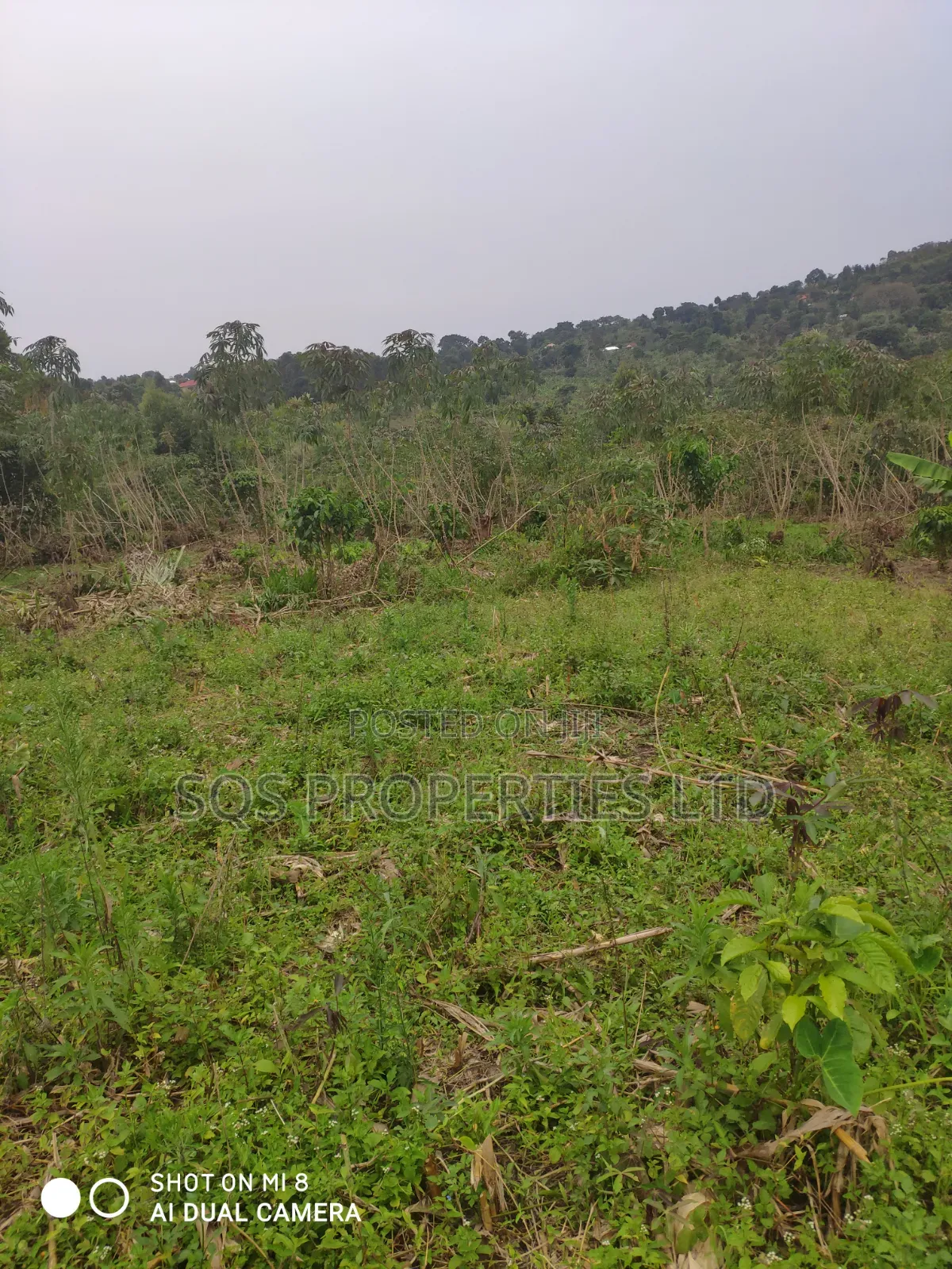 Land for Sale 5 Acres , Negotiable 20 Millions Per Acre