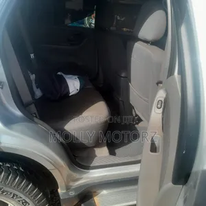 Ford Escape 2006 Silver