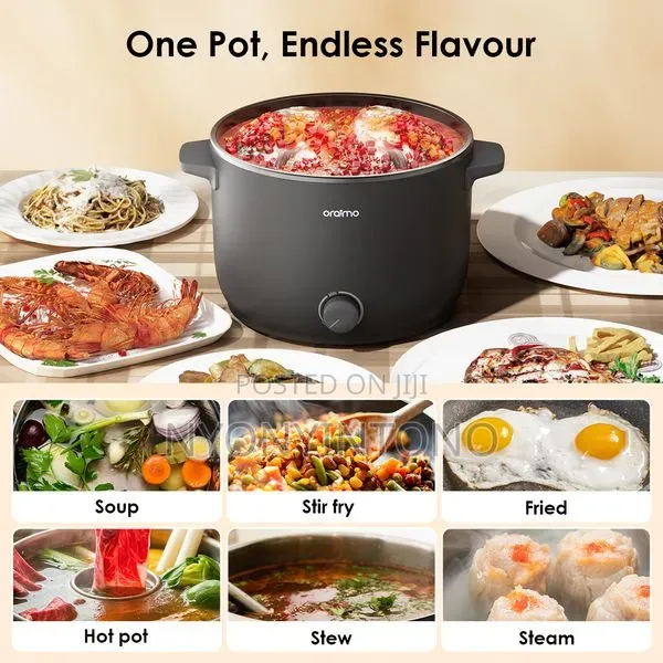 Oraimo Non-Stick Electric Steamer Boiler Smart Cooker Ohp-201a