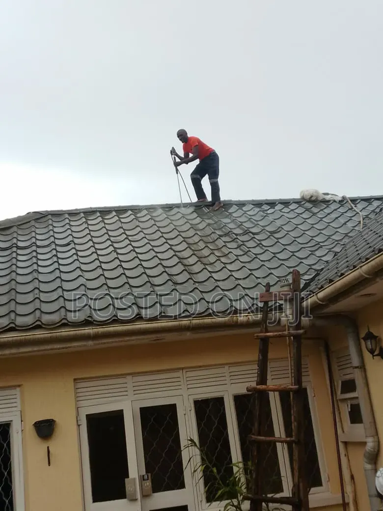 Roof Cleaning Services