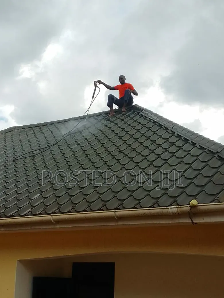 Roof Cleaning Services
