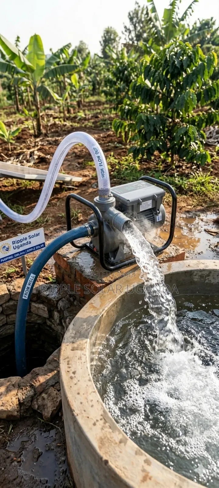 2200w Solar Surface Water Pump 19m Head High Flow Kampala