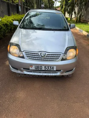 Toyota Allex 2005 Silver