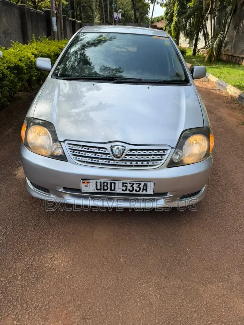 Toyota Allex 2005 Silver
