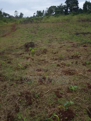3 Plots of Land for Sale in Kisoga Banda Mukono With Ready Titles