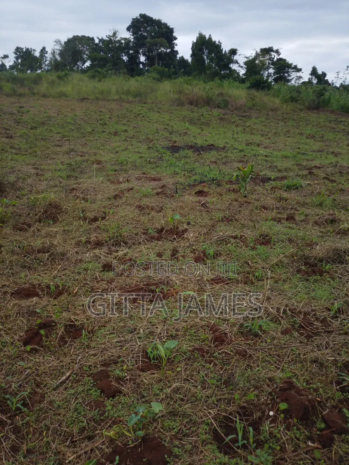 3 Plots of Land for Sale in Kisoga Banda Mukono With Ready Titles