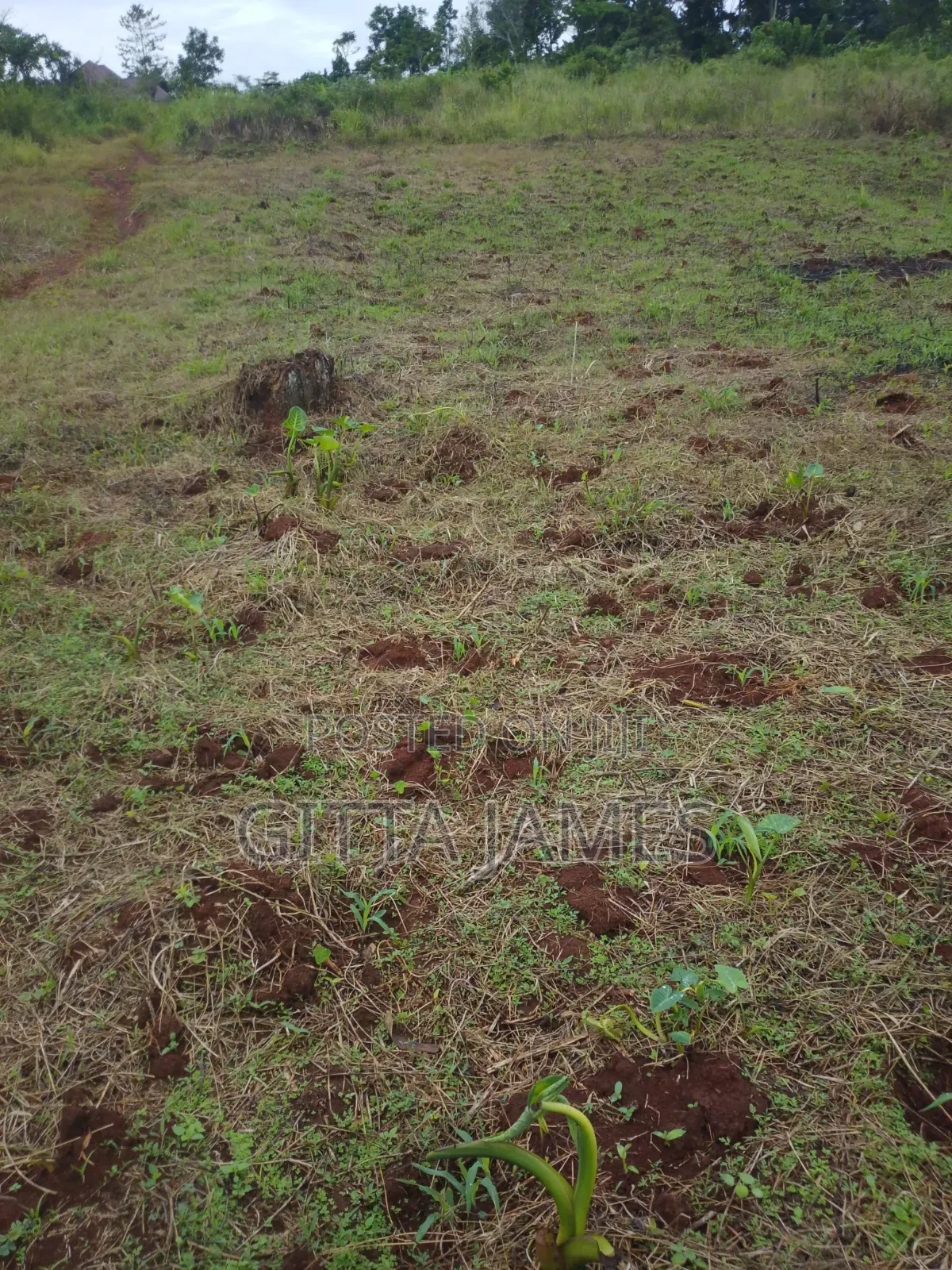 3 Plots of Land for Sale in Kisoga Banda Mukono With Ready Titles