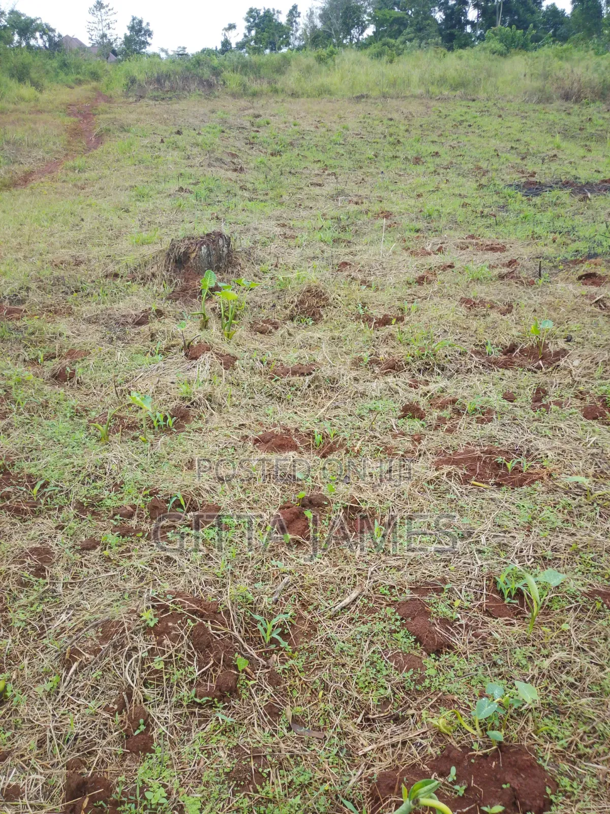 50 by 100ft on Quick Sale by Owner in Kisoga Banda Mukono With Title