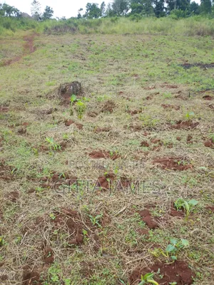50 by 100ft on Quick Sale by Owner in Kisoga Banda Mukono With Title