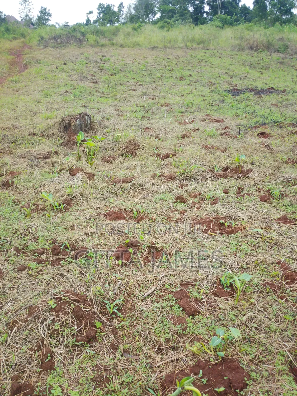 50 by 100ft on Quick Sale by Owner in Kisoga Banda Mukono With Title