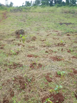 50 by 100ft on Quick Sale by Owner in Kisoga Banda Mukono With Title