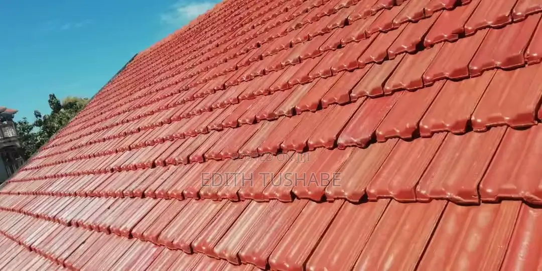 Roof Cleaning