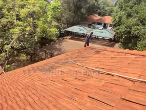 Roof Cleaning