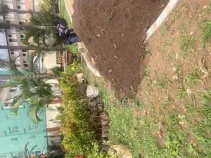 Compound Designing