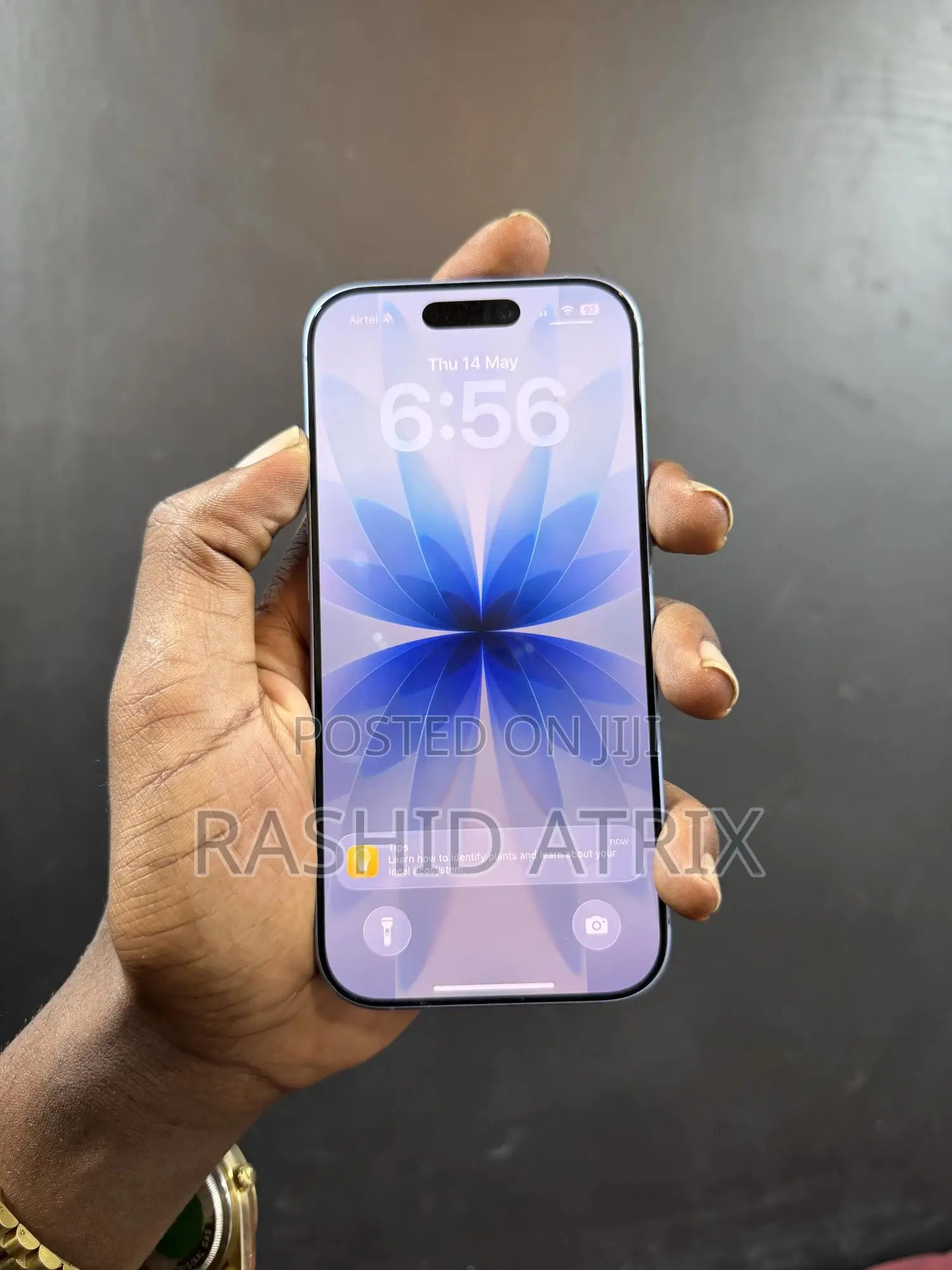 Apple iPhone 17 256 GB Blue