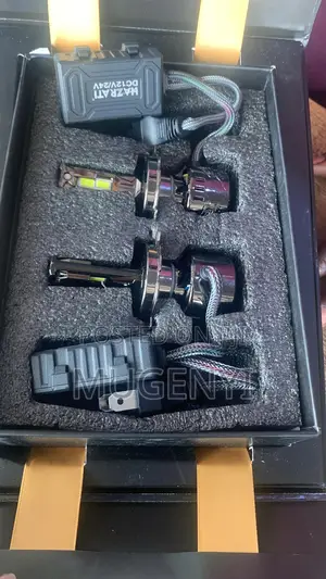 High Quality Bulbs