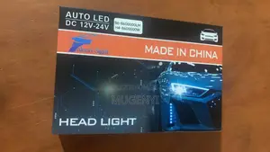 High Quality Bulbs