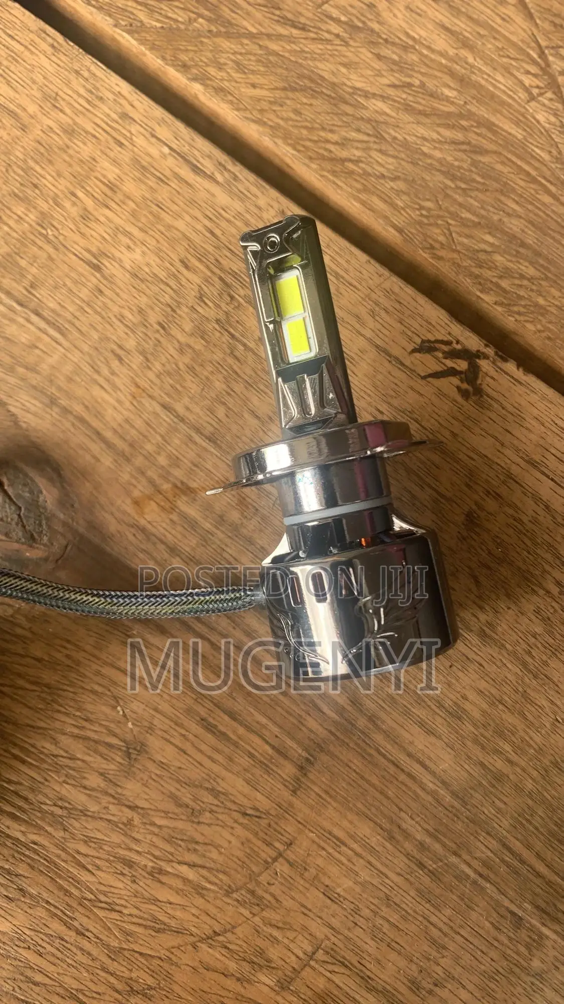 High Quality Bulbs